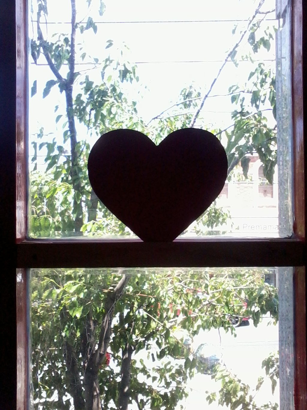 Understanding The Asian-Girl-White-Guy Relationship