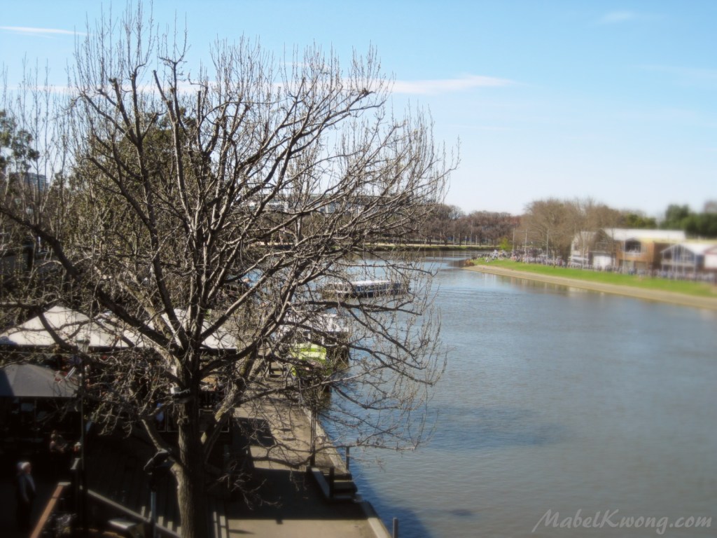 Winter along the Yarra River. As writers, our stories naturally change over time, just like how seasons change (Photo 1/2) | Weekly Photo Challenge: Dialogue.