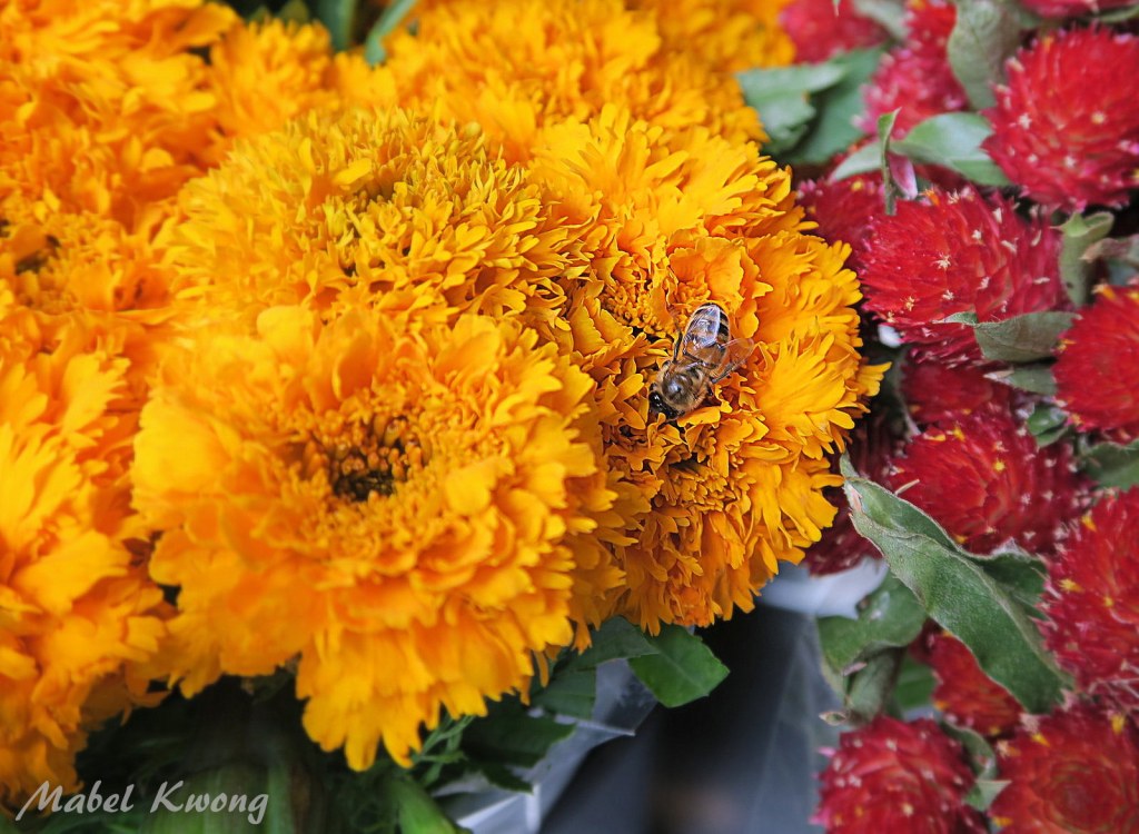 When we're smart enough to accept our true colours, it's then we can love others.