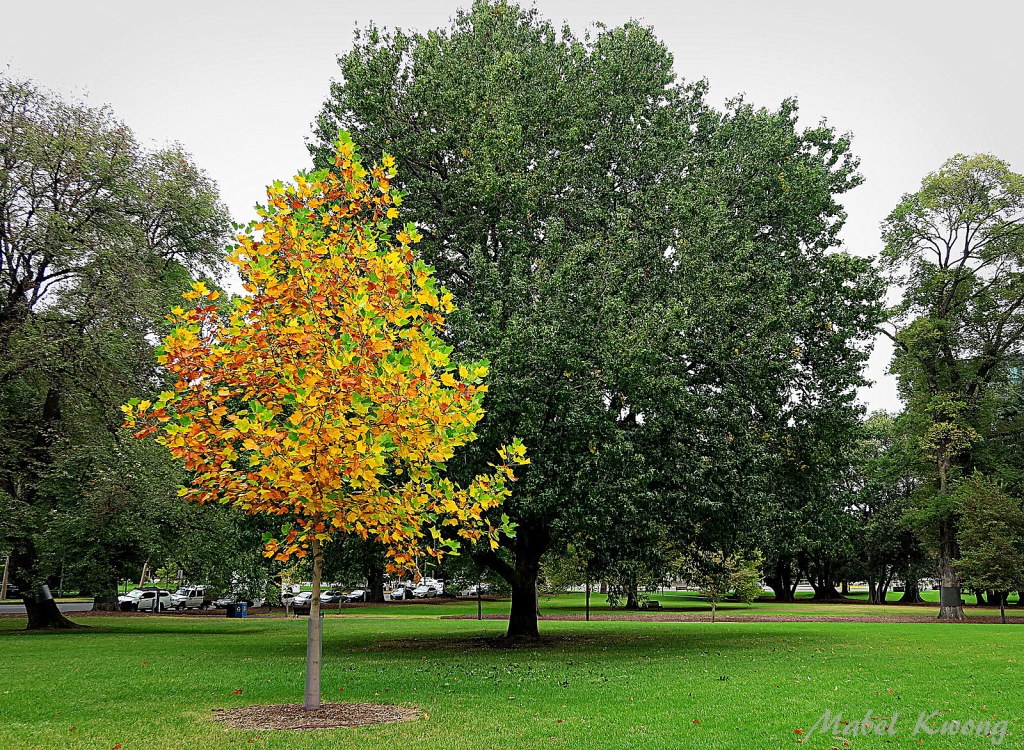 No matter how skinny or curvy we look, we're all beautiful in our own ways | Weekly Photo Challenge: Intricate.