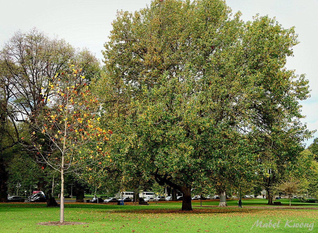 Sometimes when we're skinny, it's hard to feel beautiful as we feel like we don't belong.
