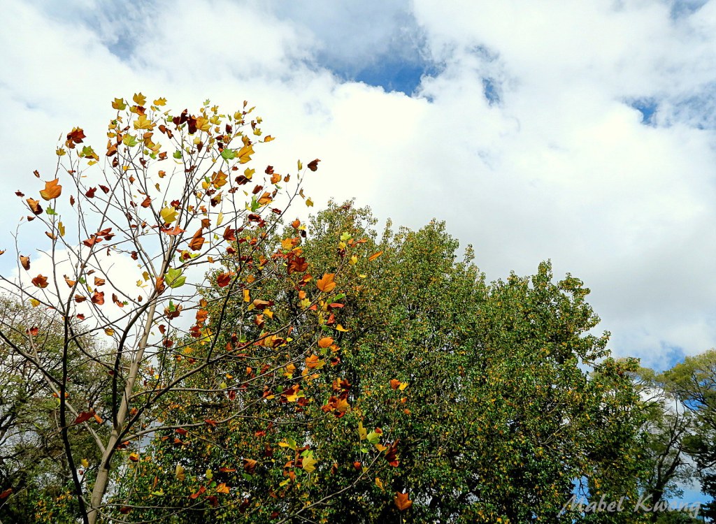 When we love ourselves for who we are, skinny or curvy or in between, the world is at our feet.