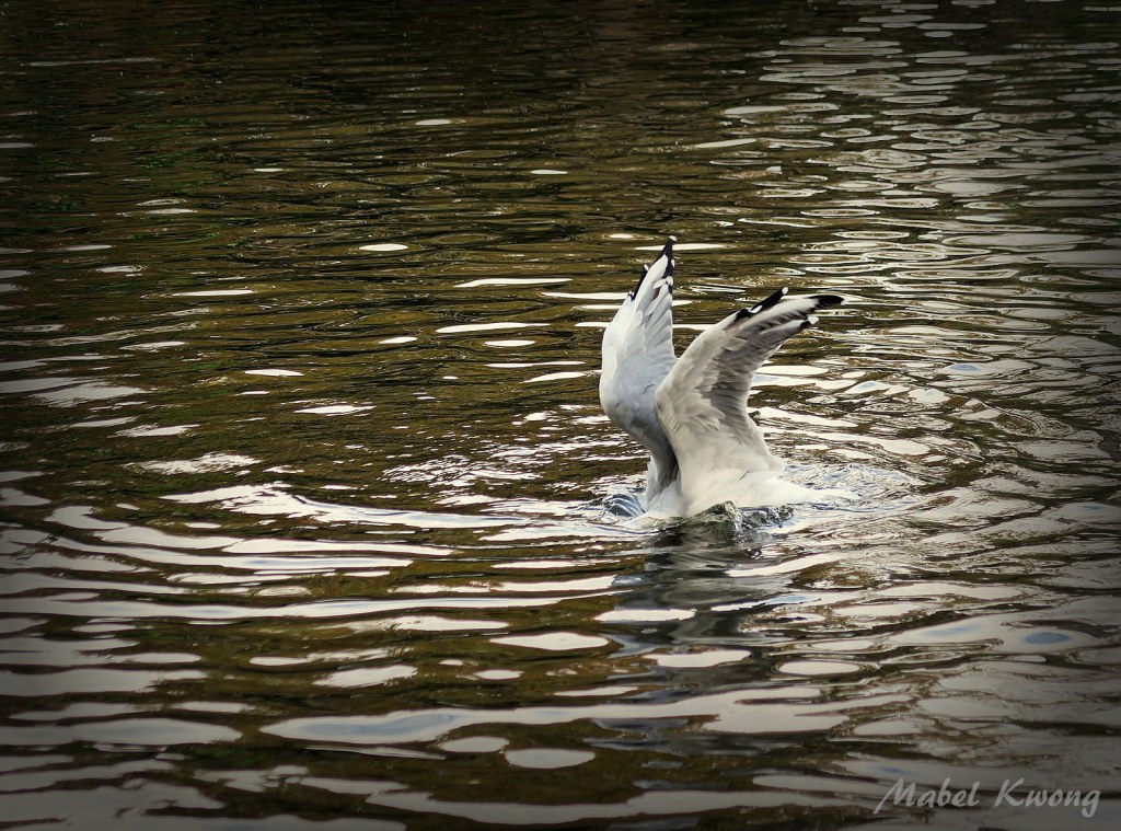 Sometimes the more someone tries to get our name right, the more we feel embarrassed.