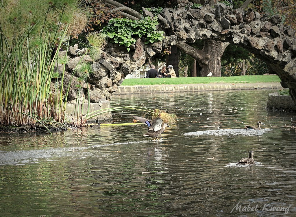 Sometimes names divide us as beings in this world.