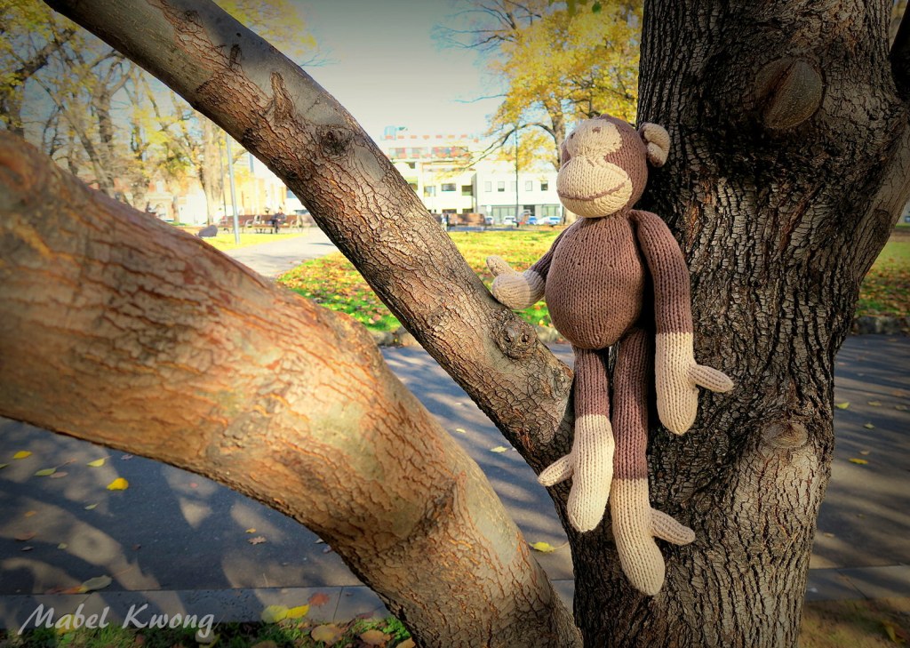 A stuffed toy can mean the world to us. All the more reason for us to take good care of it | Weekly Photo Challenge: Careful.