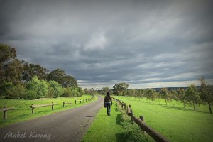 Sometimes when someone asks where we come from, we feel small | Weekly Photo Challenge: Tiny.