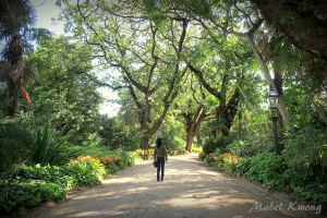 There will always be voices around us telling us otherwise.