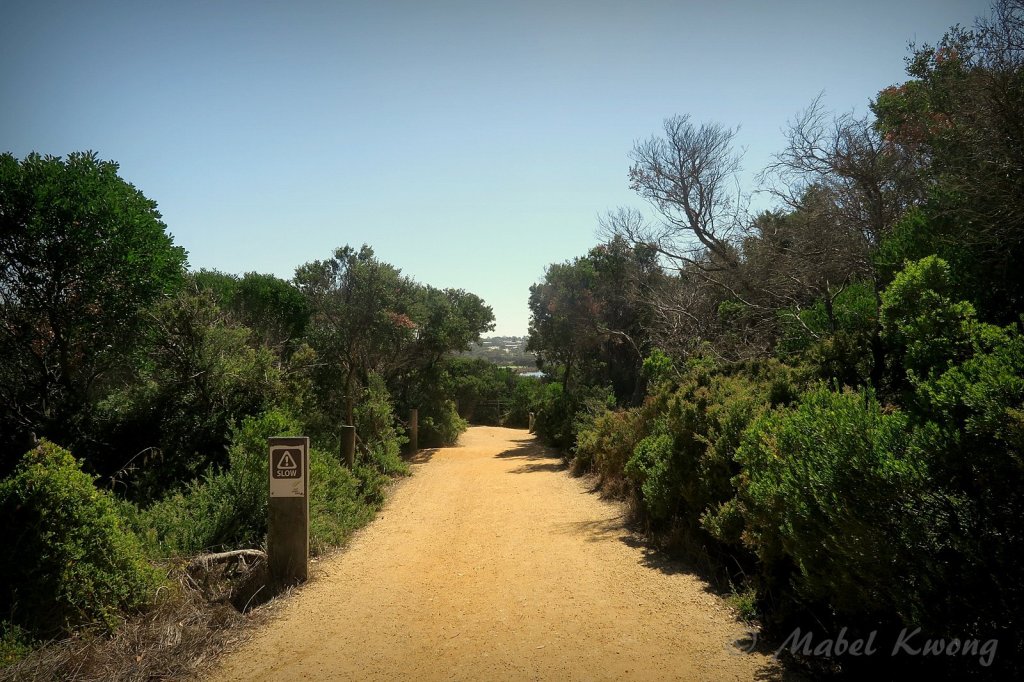 Finding our way home can feel like an eternal struggle.