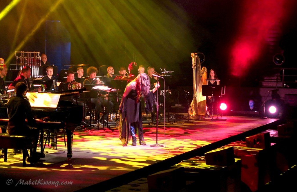 To share or not to share ourselves with the rest of the world. Evanescence, Synthesis 2018 Tour.