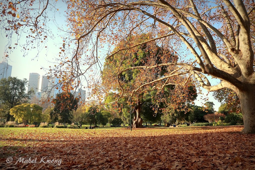 When we feel comfortable with the weather, it's one less thing to worry about.