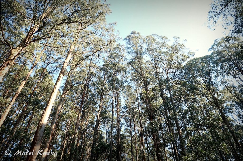 How hot or cold it is can affect how we look and how we feel.