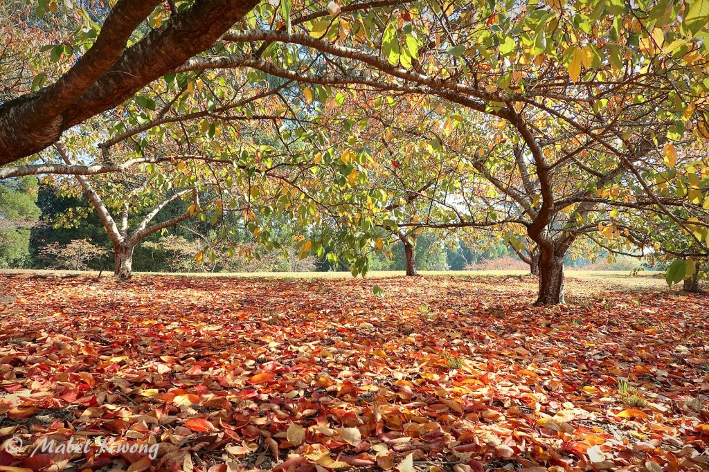 Each of us feels comfortable in different temperatures.