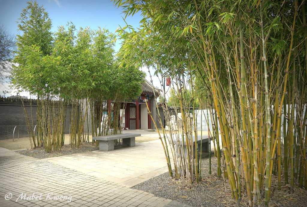 A touch of growth with the presence of greenery.