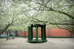 With space and light comes a sense of openness and possibilities.