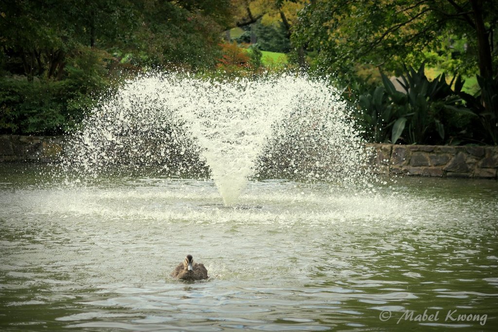 Running water equates to energy flowing through and through.