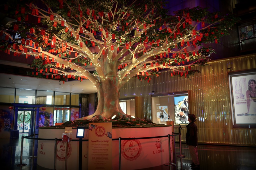 Lunar New Year, Wishing Tree, Crown Casino (5)